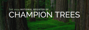 The 2019 National Register of Champion Trees